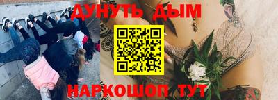 метамфетамин Гай