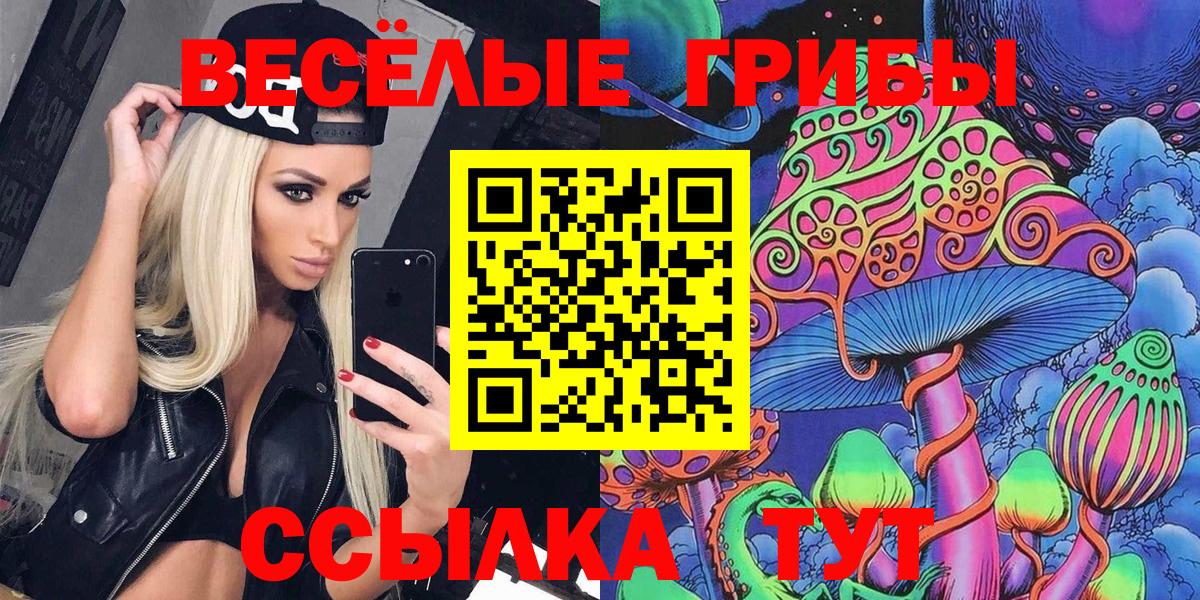 Псилоцибиновые грибы Psilocybe  Вход с VPN  Светлоград 