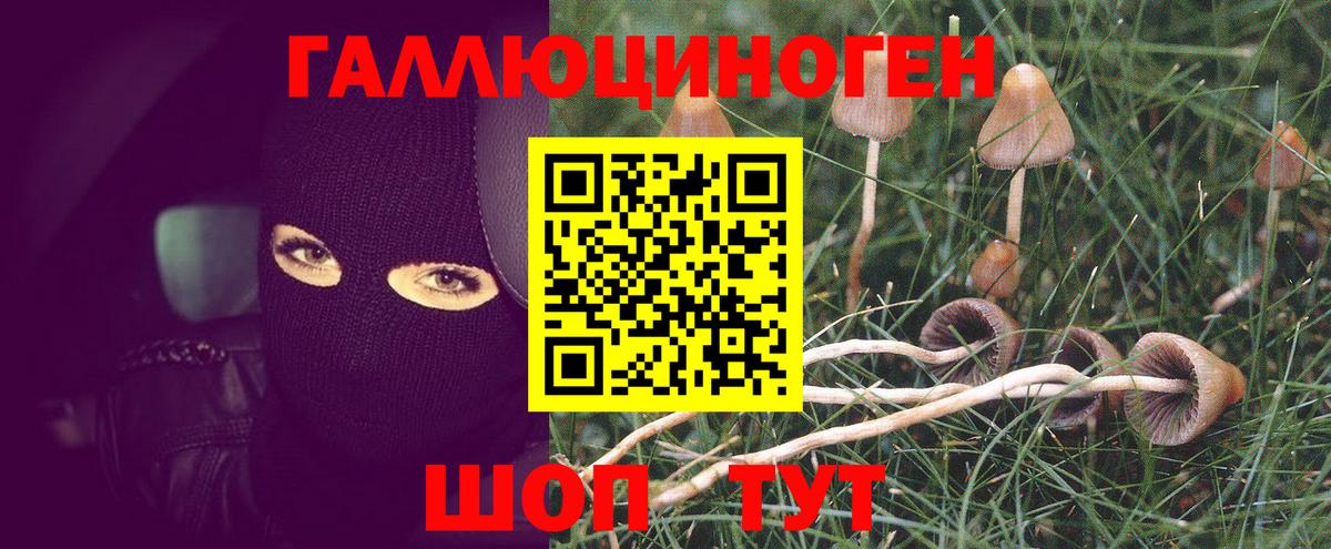 Галлюциногенные грибы мицелий Светлоград